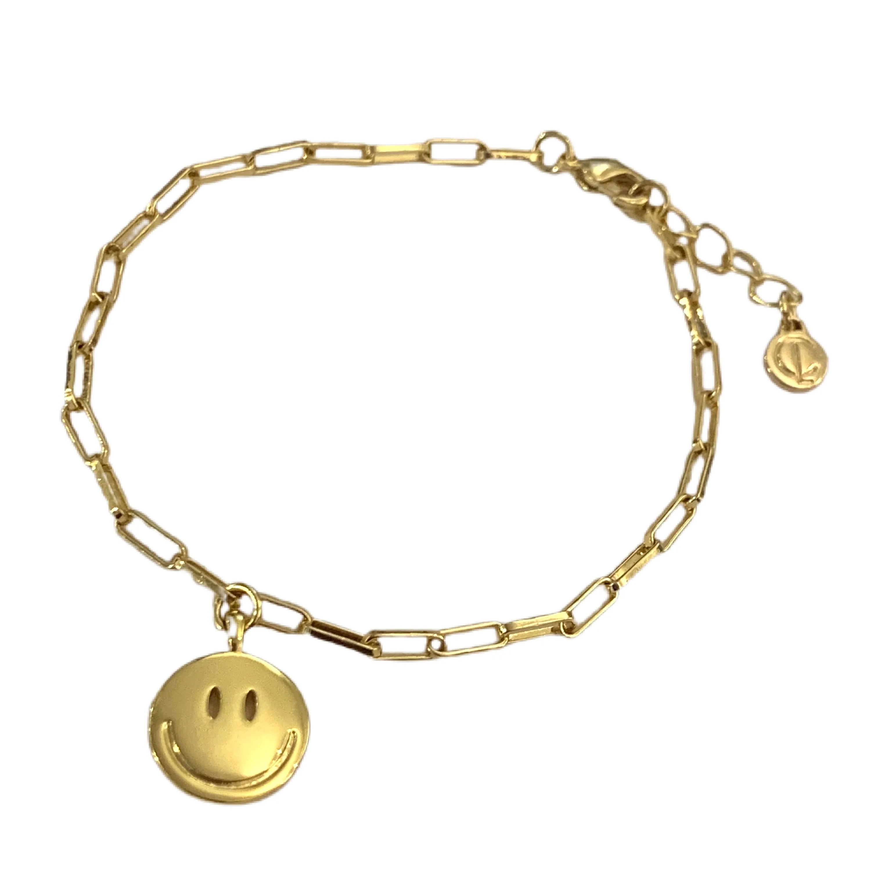 Gold Chain Link Smile Anklet